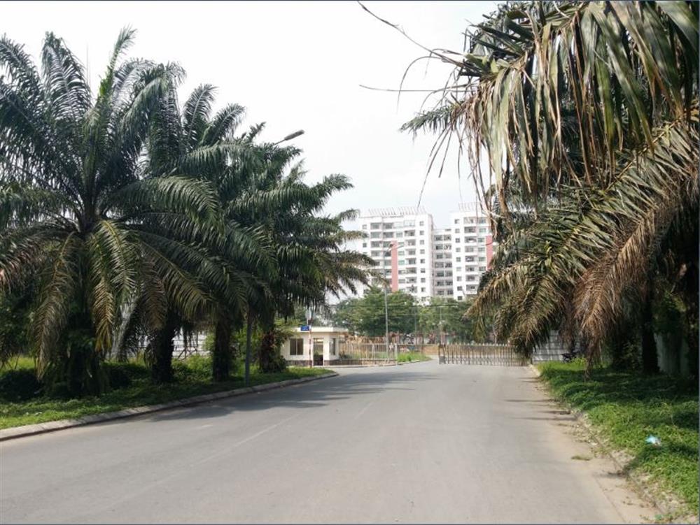 KDC Làng Việt Kiều Phong Phú 13E