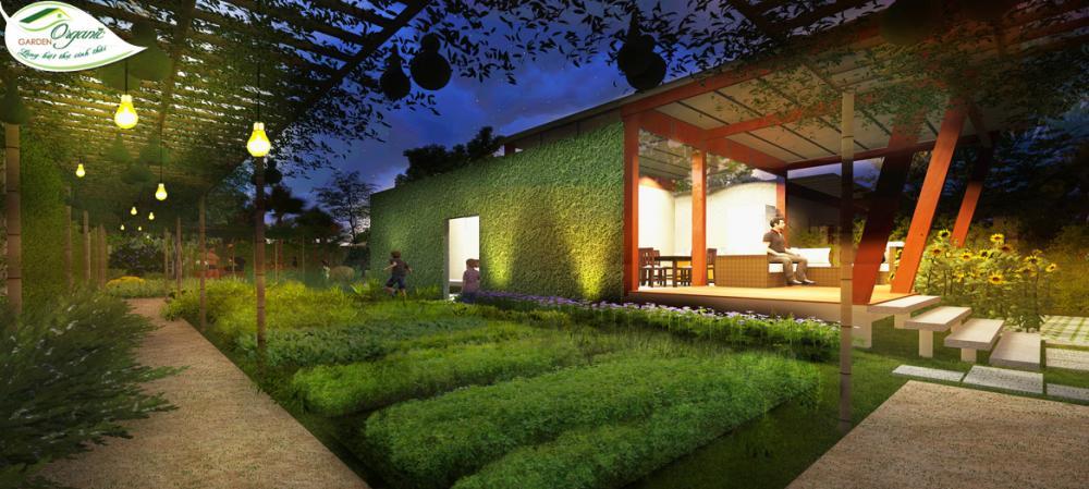 Organic Garden