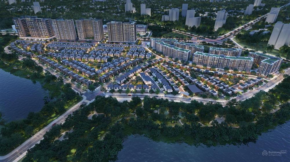 Orchard Hill - Sycamore