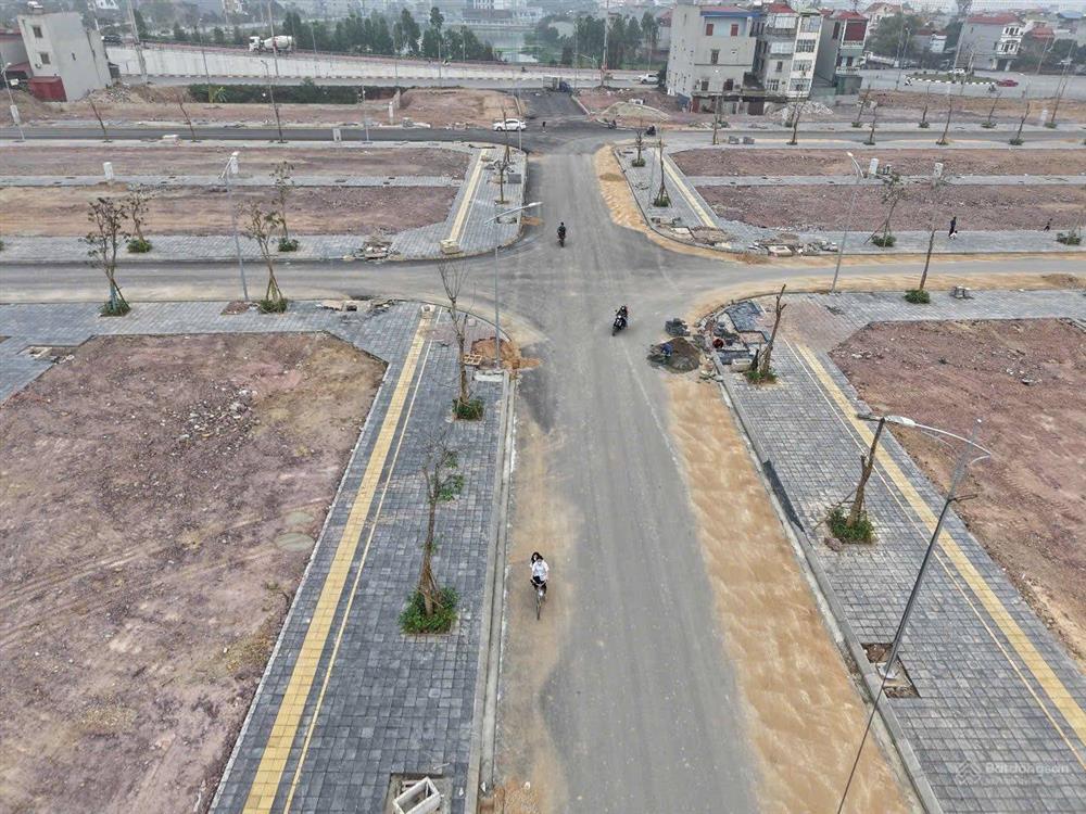 Tân Mỹ Avenue