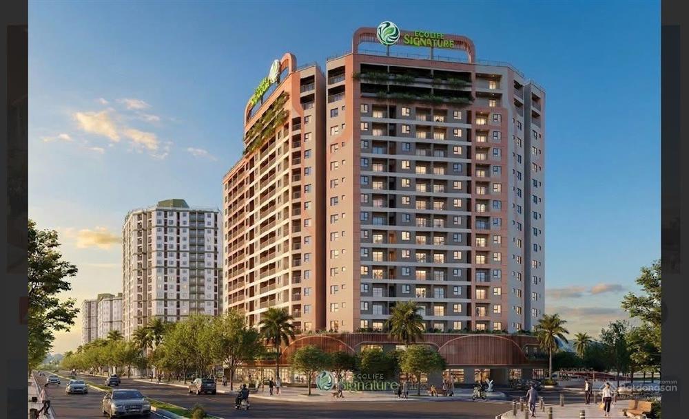 Ecolife Signature