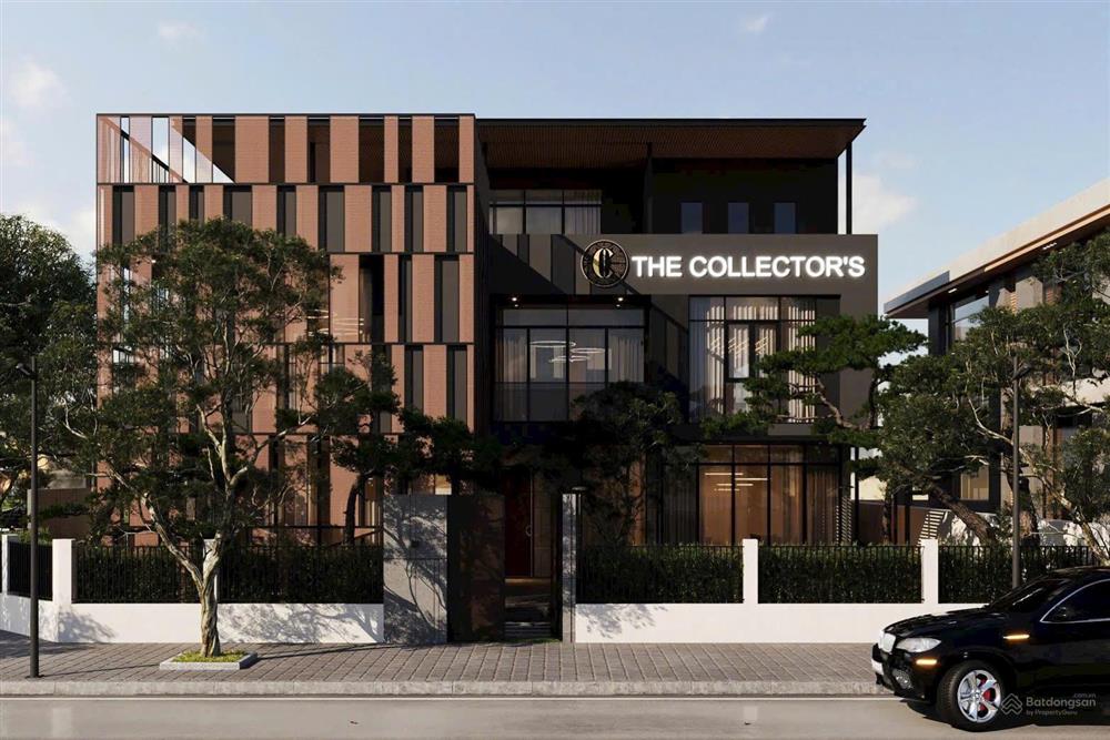 The Collectors'